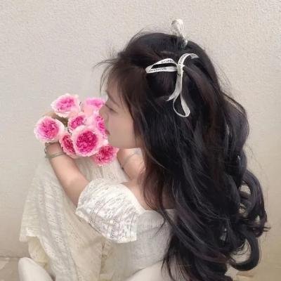 超级鲍勃